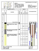 Shows a dual piezometer well log with aboveground cover