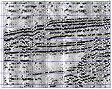 Seismic vectorization